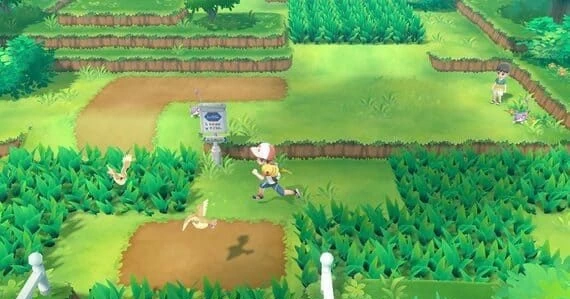 NS-精灵宝可梦 皮卡丘+伊布 中文版