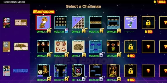 NS-任天堂世界锦标赛 中文版