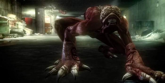 PC-生化危机 浣熊市行动 中文版