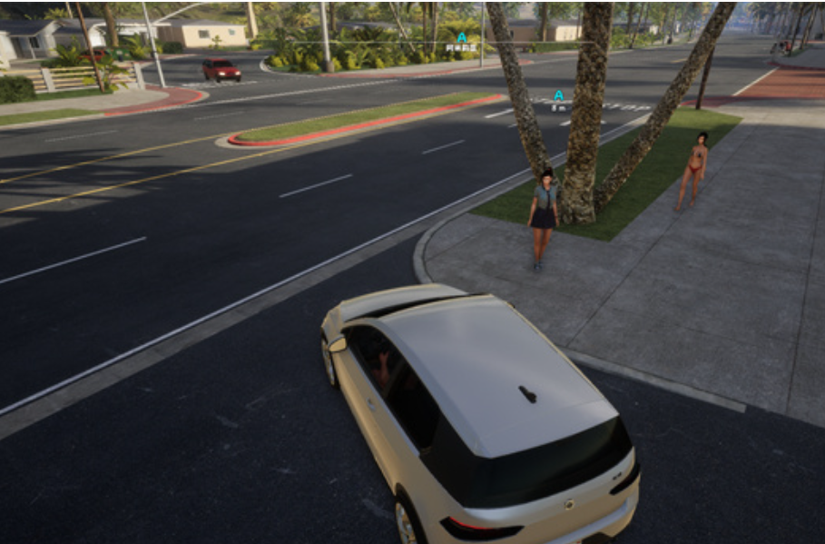 【类似GTA5/开放世界/3D/动态】 真实人生v1.3汉化版（PC