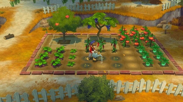 PC-牧场物语 来吧!风之繁华集市 中文版