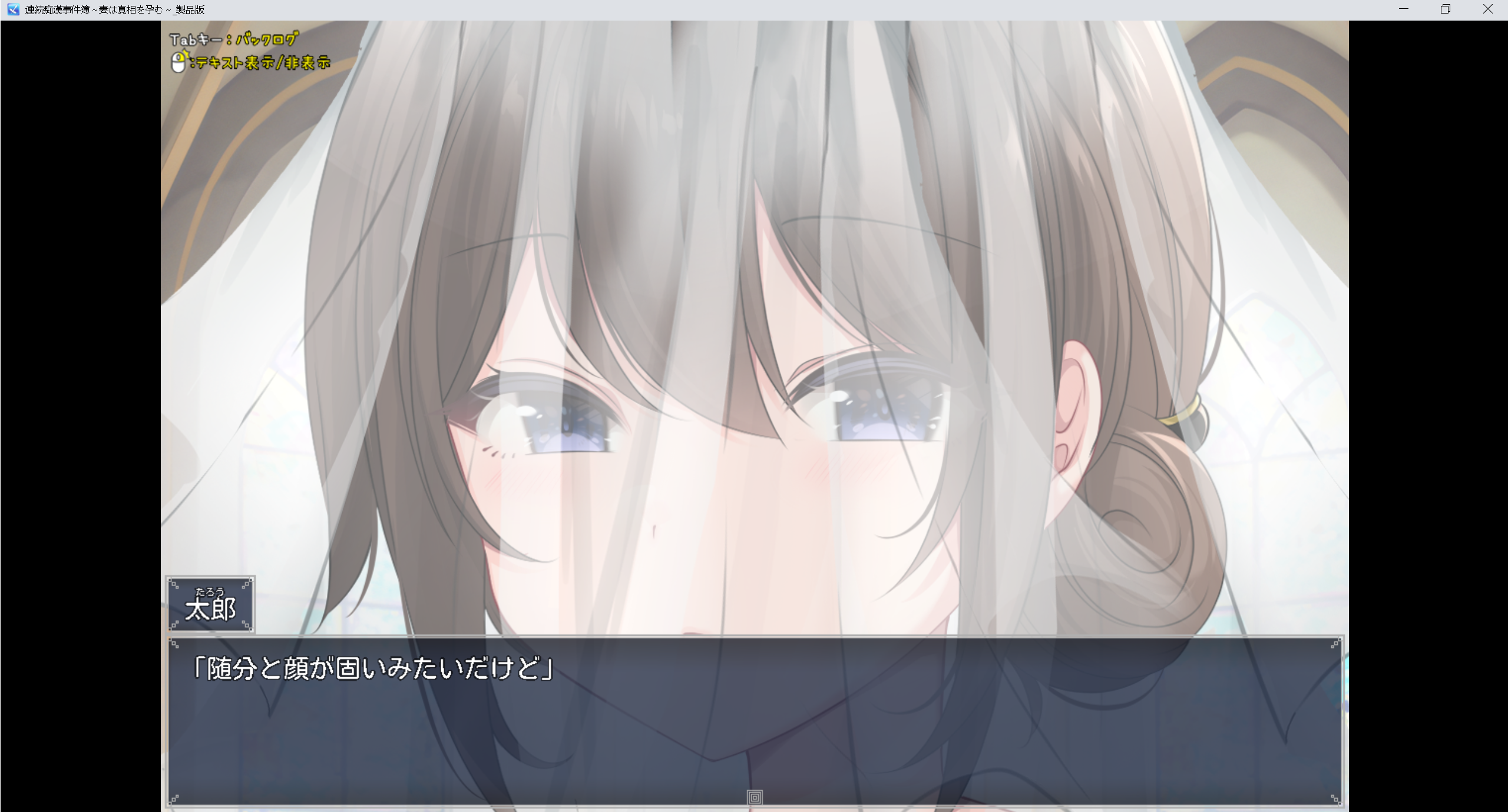 【新作/日系RPG/NTR】连续事件簿-AI汉化版（PC