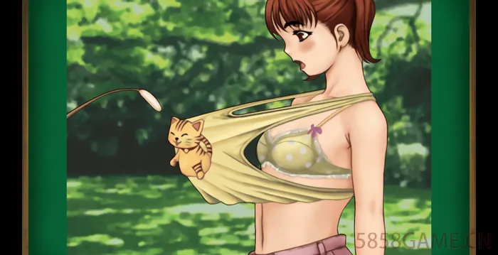 NS-对战脱衣麻将 非中文版