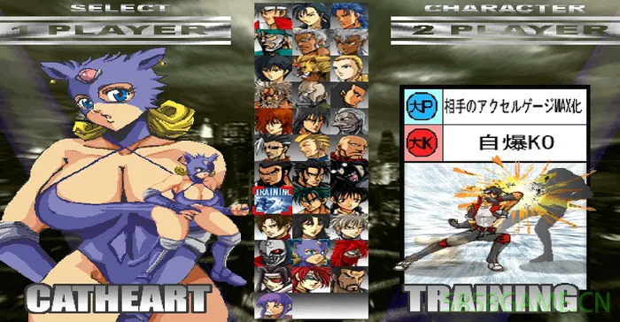 PC-阿克塞尔城格斗 英文版